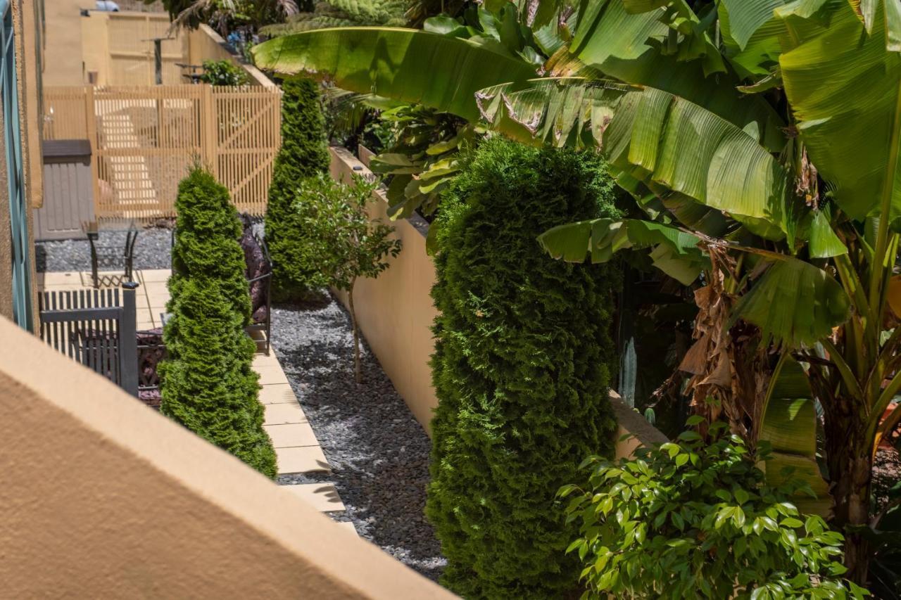 Tuscany Gardens Motor Lodge Nelson Bagian luar foto